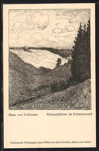 Künstler-AK Hans von Volkmann: Wiesentälchen im Schwazwald