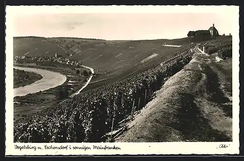 AK Volkach, Vogelsburg m. Escherndorf