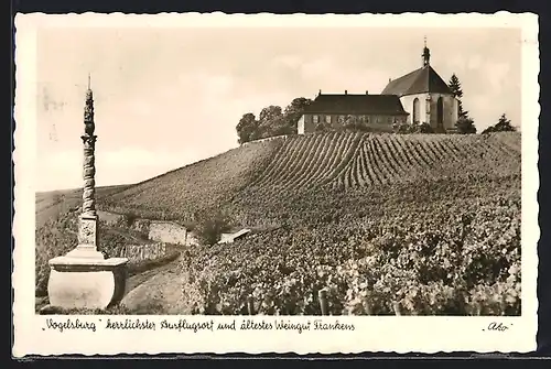 AK Volkach, Vogelsburg-herrlichster Ausflugsort und ältestes Weingut Frankens