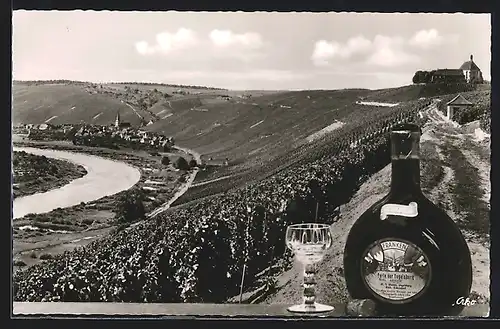 AK Volkach, Vogelsburg an der Mainschleife-Perle Frankens