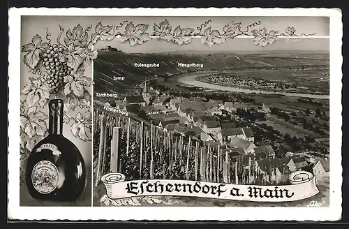 AK Escherndorf am Main, Totalansicht mit Fürstenberg, Kirchberg, Lump, Eulengrube und Hengstberg