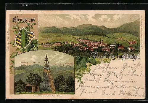 Lithographie Dermbach, Panorama vom Turm auf dem Baier, Ortsansicht