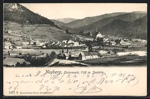 AK Neuberg, Totalansicht aus der Vogelschau