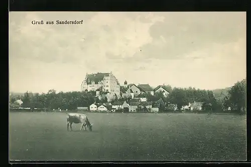 AK Sandersdorf, Teilansicht mit weidender Kuh