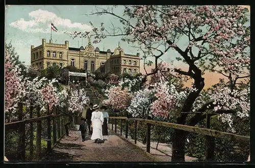 AK Werder, Hotel Restaurant Bismarckhöhe zur Baumblüte