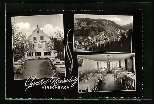 AK Hirschbach, Ortsansicht aus der Vogelschau, Gasthof Norissteig