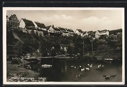 AK Wildberg /Schwarzwald, Uferpartie mit Brücke, Südseite