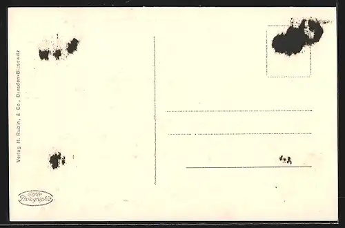 AK Brandenburg a. H., Ortsansicht aus der Vogelschau