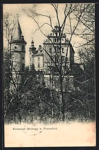 AK Hüttwilen, Kuranstalt Schloss Steinegg