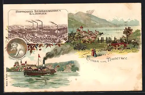 Lithographie Thun, Dampferfahrt auf dem Thunersee, Ortspanorama, Hoffmann's Stärkefabriken Salzuflen