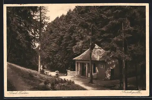 AK Bad Essen, Trinkquelle