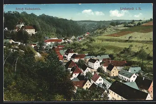 AK Liebstadt i. S., Teilansicht mit Schloss Kuckuckstein