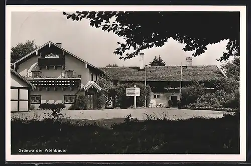 AK Grünwald, Grünwalder Weinbauer