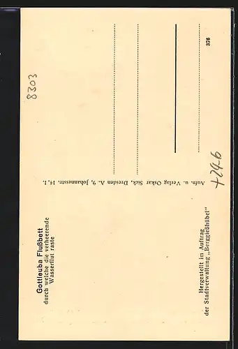 AK Berggiesshübel, Die Unwetter-Katastrophe 1927, Ortspartie