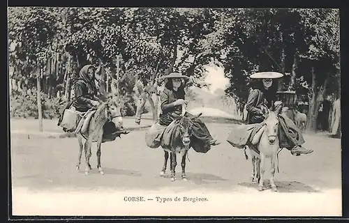 AK Korsika / Corse, Marchands de lait