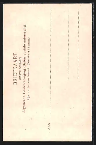 AK Hees, De dikke Boom