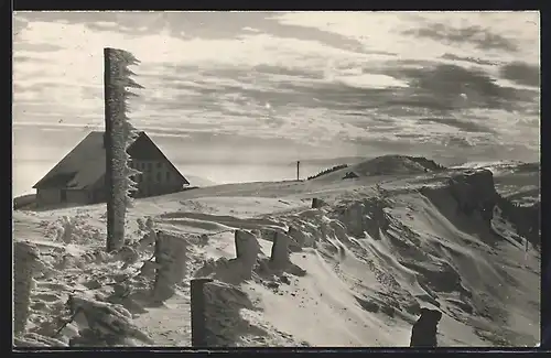 AK Chasseral, Hotel, Bergkuppe im Tiefschnee