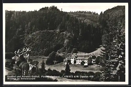 AK Wildbad /Schwarzw., Gasthof-Pension Engel aus der Vogelschau