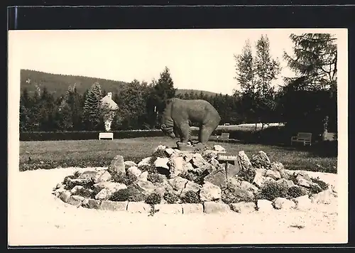 AK Bärenfels /Erzgeb., Kurpark mit Bären-Statue