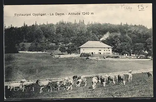 AK Villiers, Restaurant Oppliger La Dame