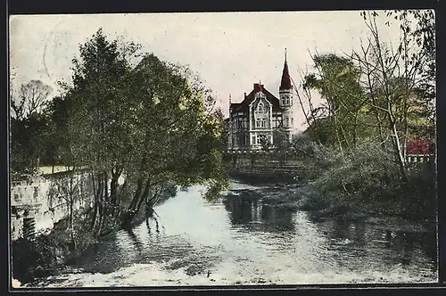 AK Wetzikon-Kempten, Uferpartei mit Schloss