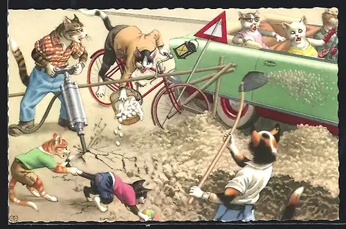 AK Katzen beim Strassenbau verursachen ein Verkehrschaos