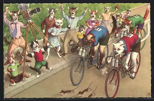 AK Katzen beim Radrennen, Zielfoto vom Fotografen