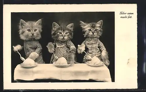 AK Drei Katzen in Kleidern beim Essen, vermenschlichte Tiere