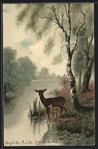 Künstler-AK Meissner & Buch (M&B) Nr. 1229: Wald-Idyll, Uferpartie mit Rehen