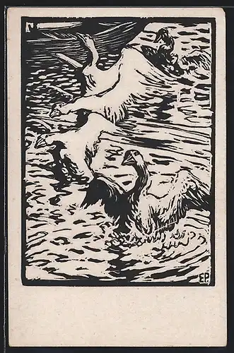 AK Gänse beim Bad im Fluss