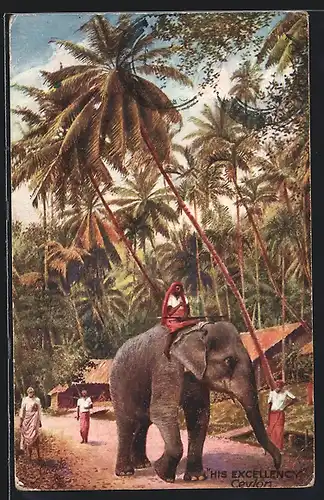 AK Elefant mit Führer auf sich, Palmen und Hütten, His Excellency Ceylon