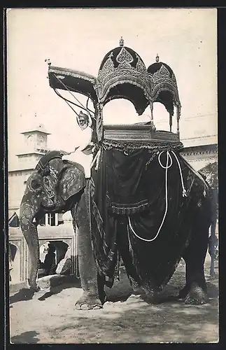 AK Jaipur, Elefant des Maharadscha