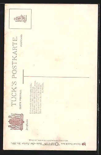 AK Fuchs zwischen Gräsern, Portrait