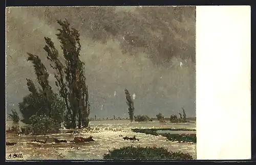 Künstler-AK Ueberschwemmtes Land, Adolf Stäbli, Pro Juventute