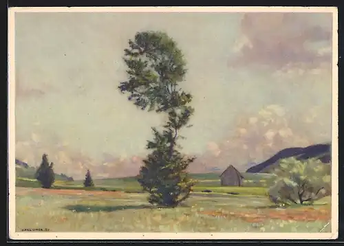 AK Appenzell, Eggerstander-Moos von C. Liner