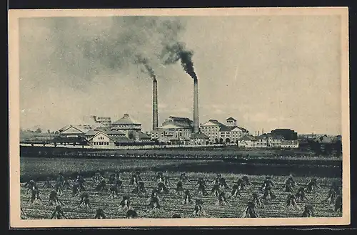 AK Mittel-Lazisk /Kr. Pless, Prinzengrube, Panorama-Ansicht mit Feldern