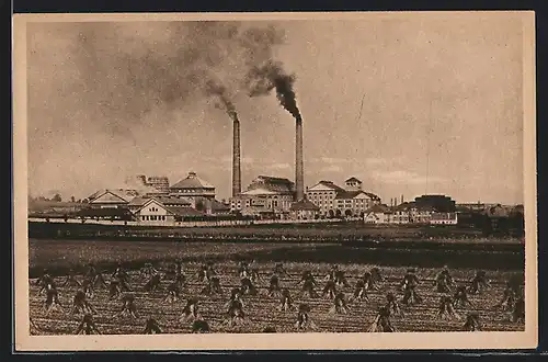 AK Mittel-Lazisk /Kr. Pless, Prinzengrube, Panorama mit Feldern aus der Vogelschau