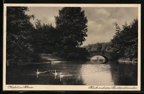 AK Krefeld a. Rhein, Blick auf den Stadtwaldweiher