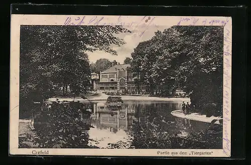 AK Crefeld, Partie aus de Tiergarten