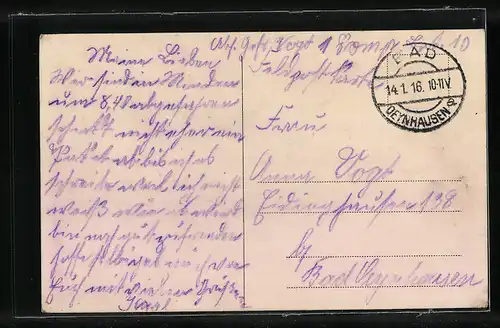 AK Crefeld, Partie aus de Tiergarten