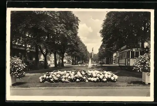 AK Krefeld, Ostwall mit Strassenbahn