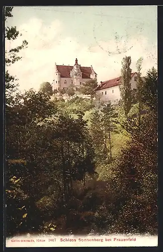 AK Frauenfeld, Blick auf Schloss Sonnenberg