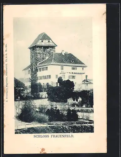 AK Frauenfeld, Blick auf das Schloss