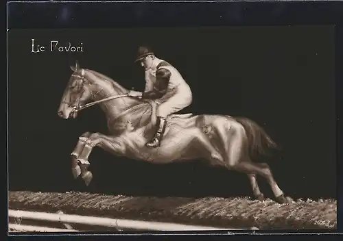 AK Le Favori, Jockey auf seinem Pferd, Metamorphose