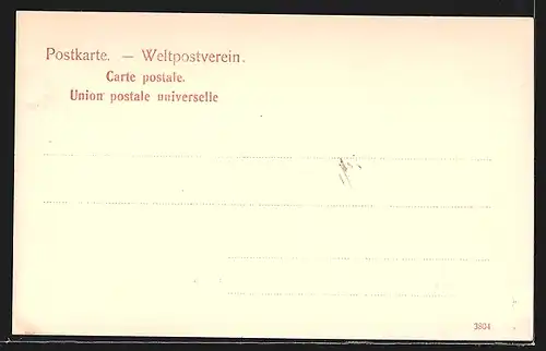 AK Konstanz, Uferpartie mit Inselhotel