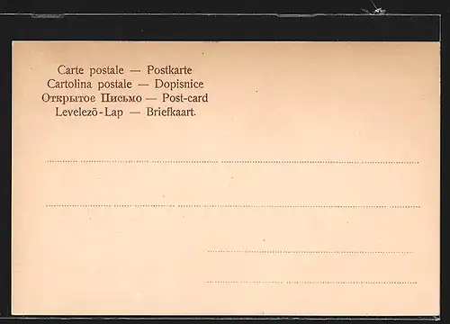 AK Konstanz, Blick auf Schnetztor