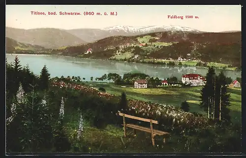 AK Titisee /bad. Schwarzw., Ortsansicht vom Hügel aus, mit Feldberg