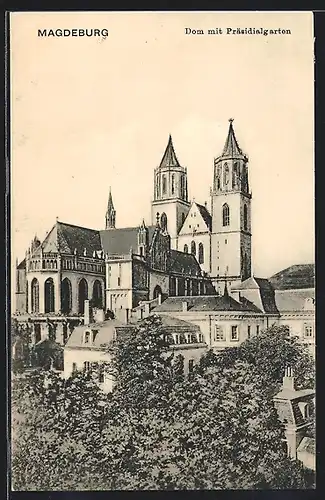 AK Magdeburg, Der Dom mit Präsidialgarten