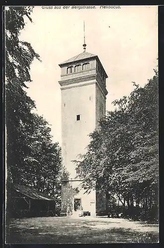 AK Melibokus, Aussichtsturm auf dem Gipfel