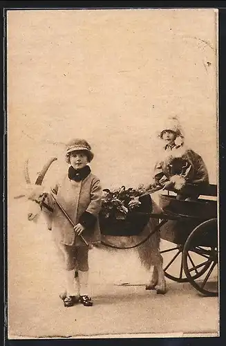 AK Zwei Kinder in Mäntelchen mit Ziegengespann